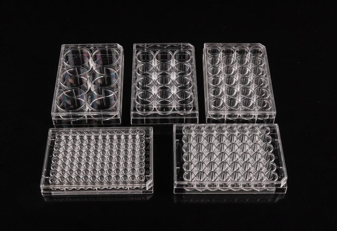 Cell Culture Plates,Microscope Cover Glasses,Cell-Seeded Coverslips ...