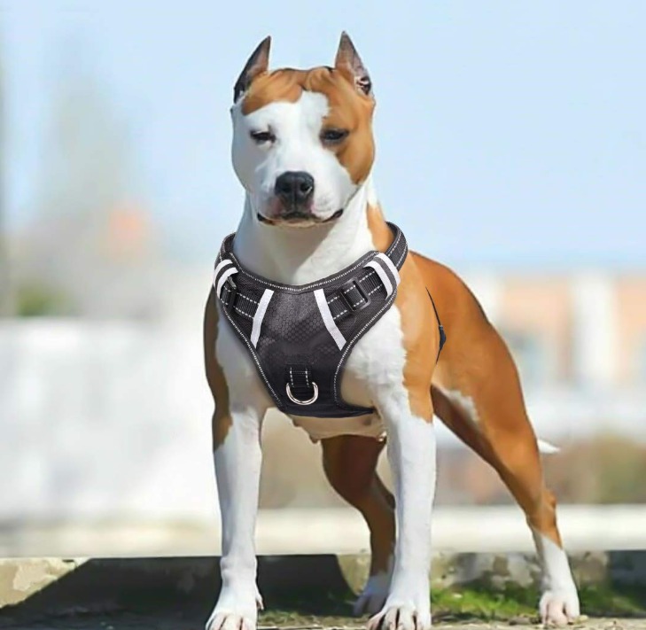 Big Large Dog Harness