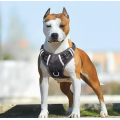 Big Large Dog Harness