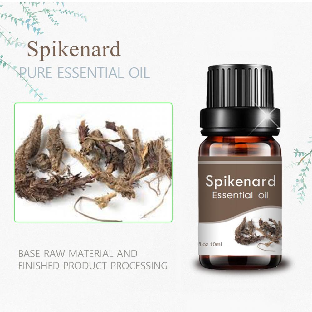 10ml Pure Vipodozi vya Daraja la Kibinafsi la Spikenard Spikenard