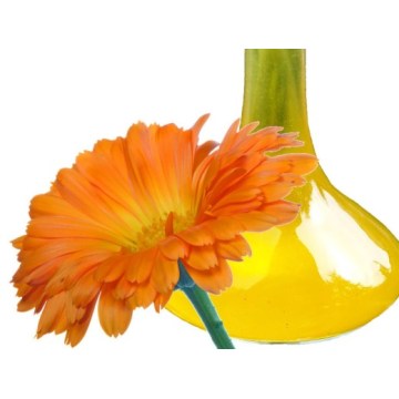 Calendula carrier oil for skin care