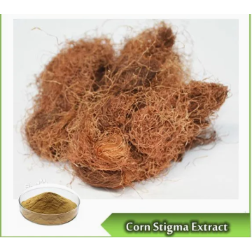Food Grade Corn Stigma Extract Powder with ISO Certificate