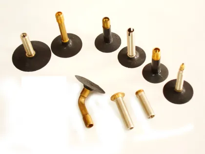 GT SW Bicycle Valves