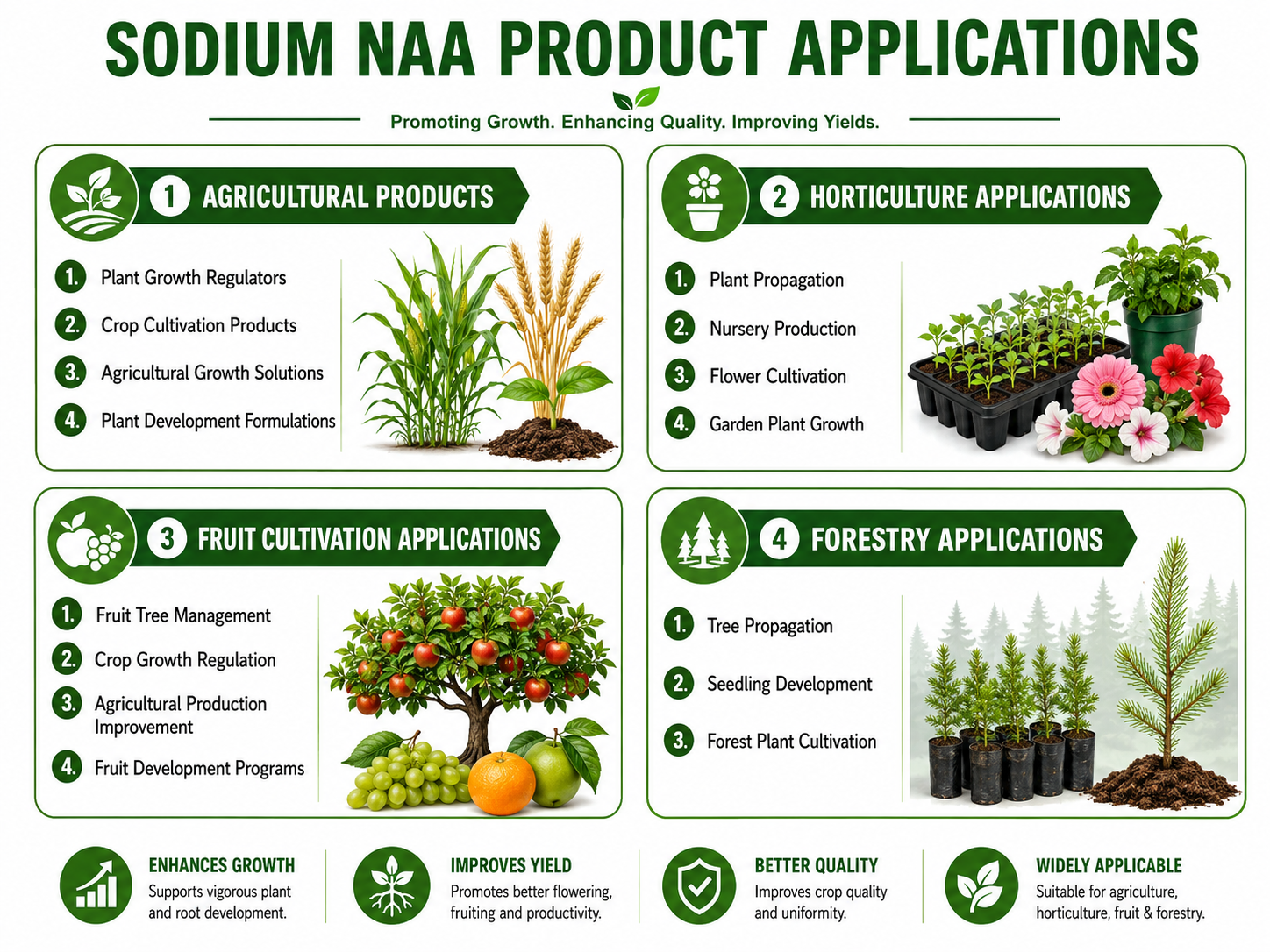 Sodium NAA（2）