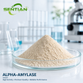 Alpha-Amylase Enzyme for Starch Hydrolysis & Baking