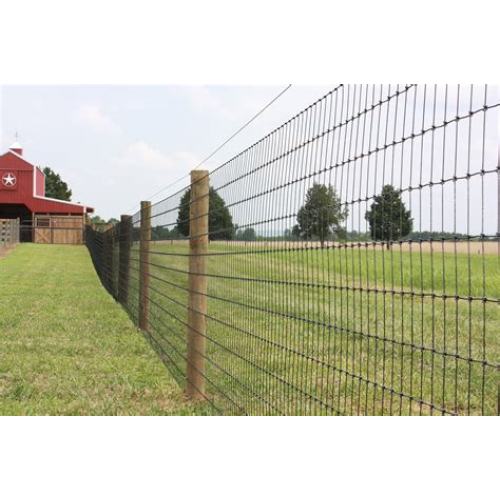 PVC Coated Field Fence Deer Farm Fence