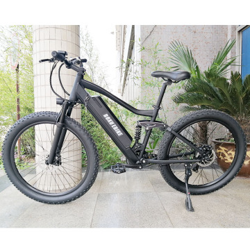Powerful 26-inch 4.0 Electric Bike with Fat Tire: TDE-04 New Model
