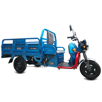 Customized Electric Three-Wheel Truck for Logistics Transportation