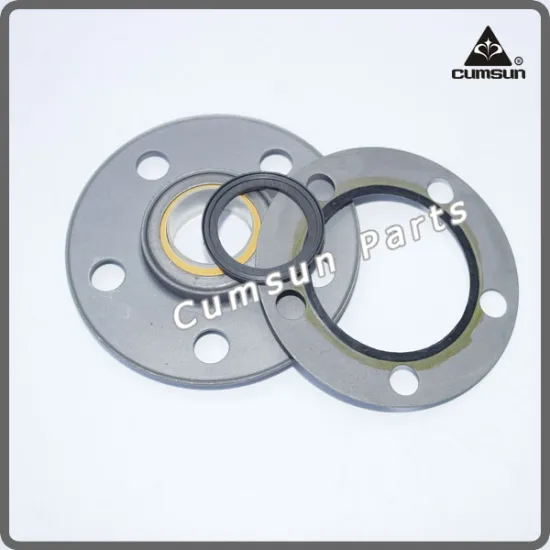 L10 M11 Diesel Engine Repair Oil Seal Kits 3804304