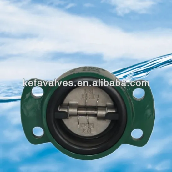 Dual disc check valve rubber lined