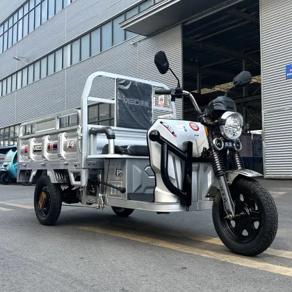 Meidi Wholesale Price Trike Electric Tricycle for Cargo
