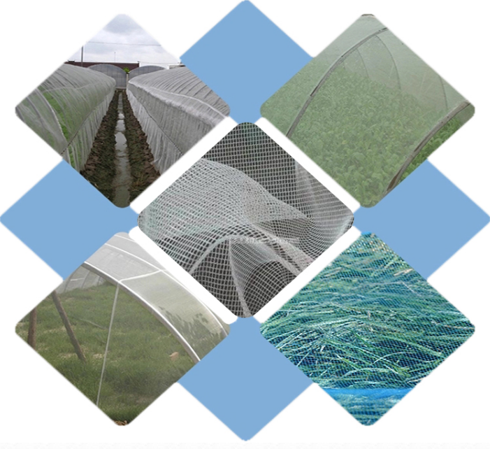 anti insect net3