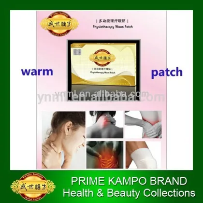 Health Building Herbal Body Warm Patch