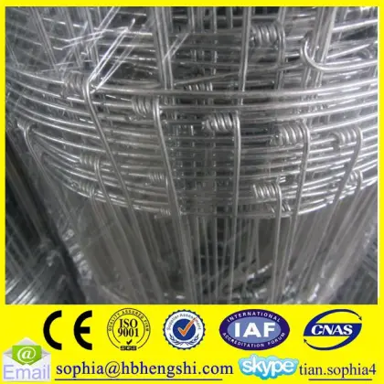 durability farm field fence/high tensile game fence/grassland field fence                        
                                                                                Supplier's Choice