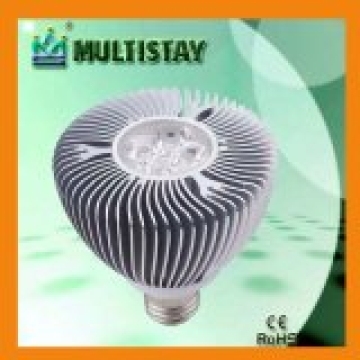 CE/RoHS PAR-30 5W LED Spotlight