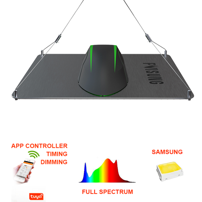 Plant Light Absorption Full Spectrum