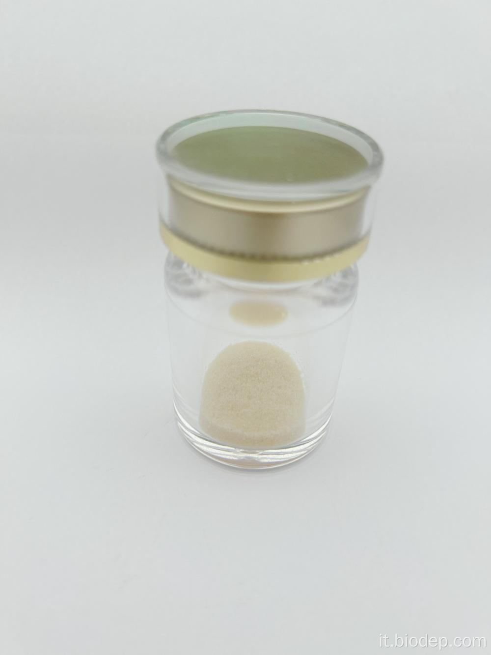 Ceppo probiotico Lactobacillus paracasei 350 miliardi di CFU/g