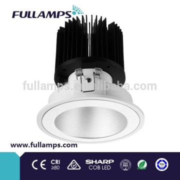 Fresnel lens 18W LED down light