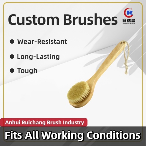 Tam vücut için uzun saplı duş fırçası