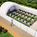 Fast Install Industrial Air Membrane Building for Logistics