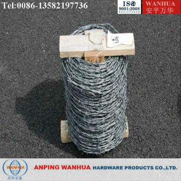 Hot Dipped Galvanized barb wire ( Professional factory ISO9001)