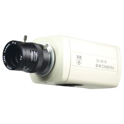 B/W CCD Camera