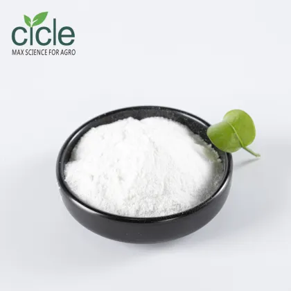 Proline L-Proline Powder 99%