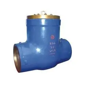 Pressure seal check valve 22 Inch