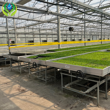 MYXL Seedbeds and Grow Tables: 4x4, 4x6, 4x8 Flood Trays, Greenhouse Wire Mesh & Rolling Benches