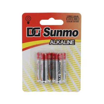 Long Discharge Time AAA Alkaline Batteries with OEM Service