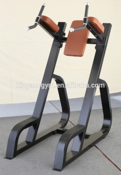 Commercial Vertical Kness Up Dip Gym Equipment