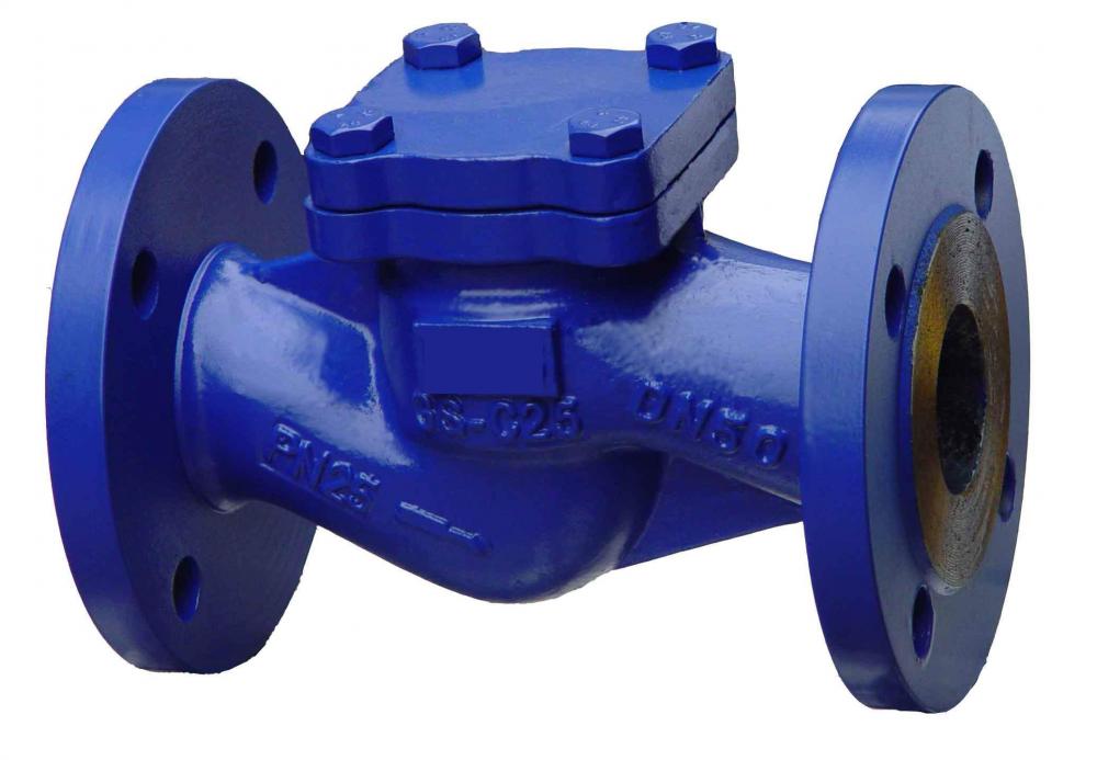 DN25-DN300 Válvula de retenção do flange de elevação