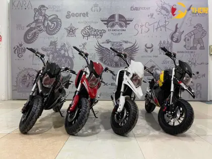 Electric Bike Motorcycle 1500W Electric Motorcycle For Adult Motorcycles Electric-M5