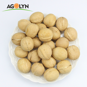 Les noix crues de peau mince de la peau d'Agolyn avec coquille