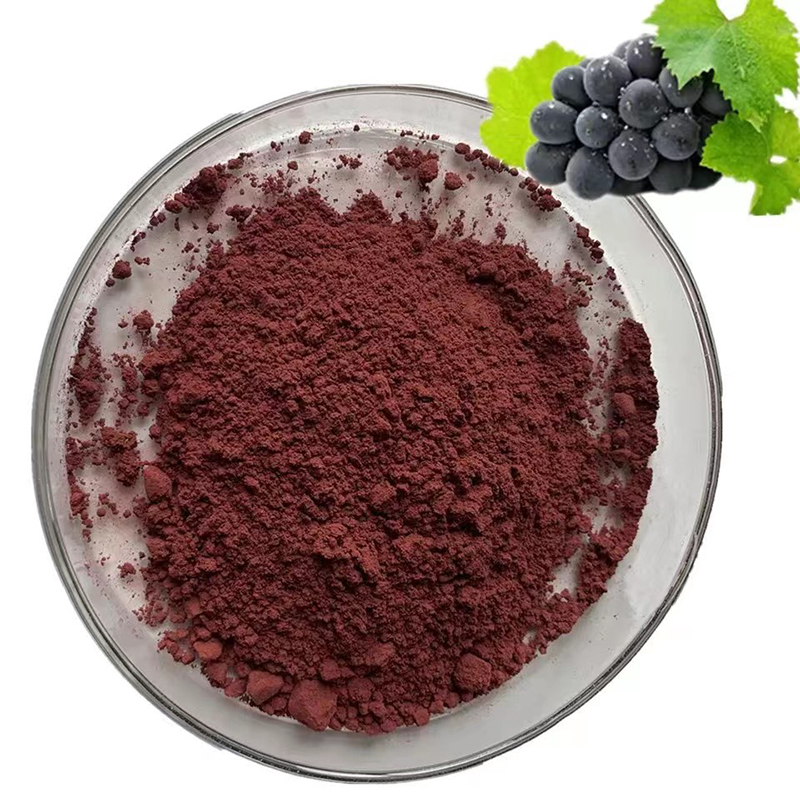 Grape Seed Extract1 Jpg