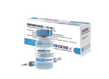 NEWCASTLE DISEASE VACCINE, LIVE(STRAIN LA SOTA)