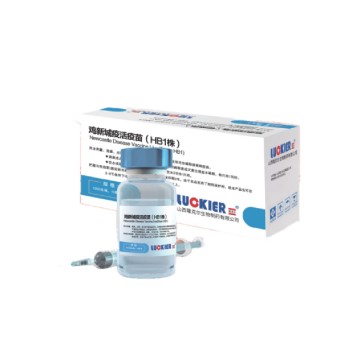 VACCIN CU BOALA NEWCASTLE, LIVE (TULINA LA SOTA)