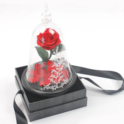 Preserved Rose with Fresh Stem: Beauty and the Beast Theme