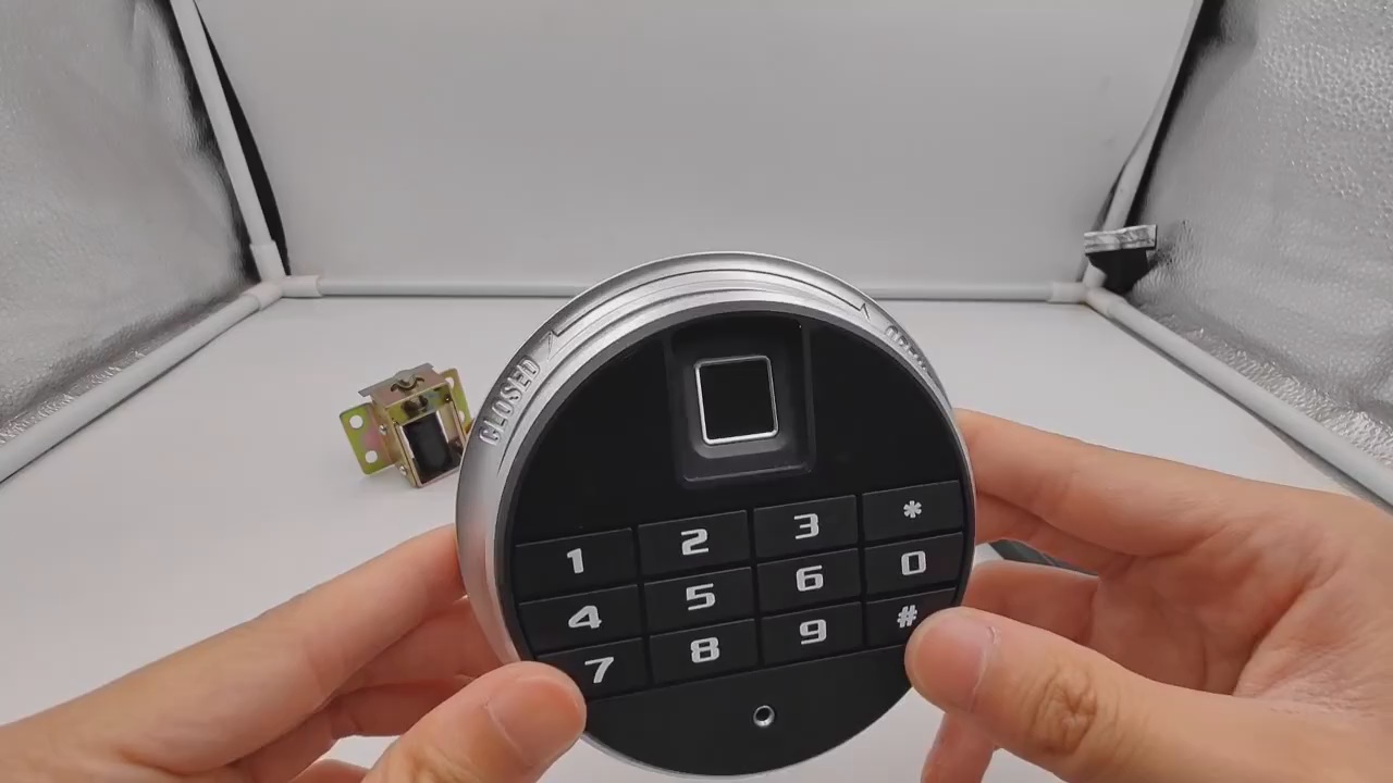 Integrated Biometric Safe Lock System