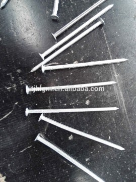 Tianjin factory galvanized square boat nails on sale