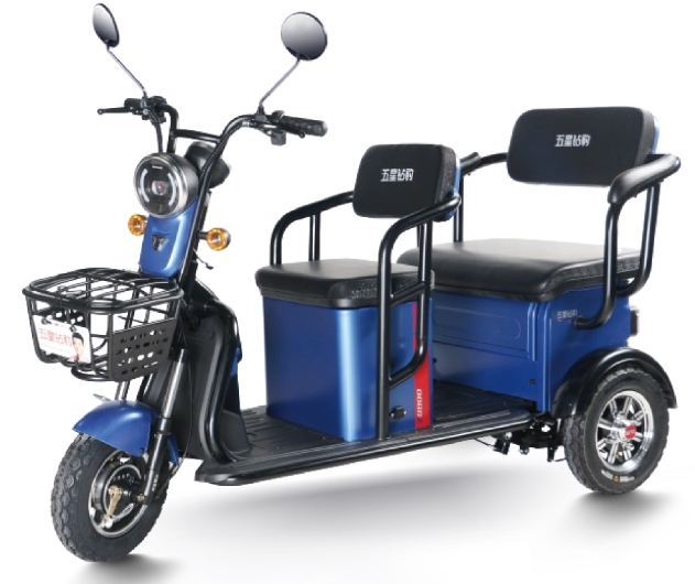 M4 (Leisure Electric Tricycle)