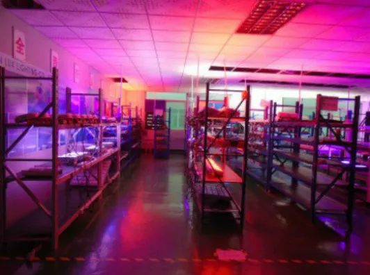 Best Full Spectrum LED Grow Lights Reviews