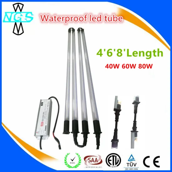 European Power Supply Waterproof Light Samsung LEDs T8 Tube Light for Car Wash 