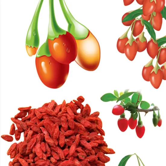 Dried goji berries for decoration