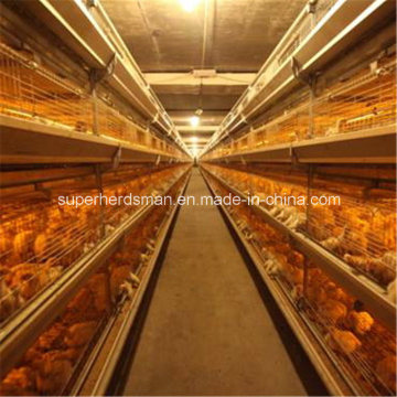 High Quality Poultry Cage Equipment for Chicken Shed