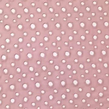 100% Cotton Voile Hole Embroidery Fabric For Kids