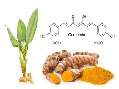 Curcumin