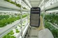 Skyplant Smart Grow Shelves / Racks / Rolling Bancs avec fonctions de levage et de ventilation pour l&#39;agriculture verticale intérieure