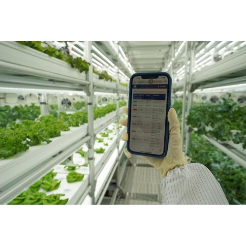 Skyplant Smart Grow Shelves/Racks/Rolling Benches dengan Fungsi Mengangkat dan Pengudaraan untuk Pertanian Menegak Dalaman