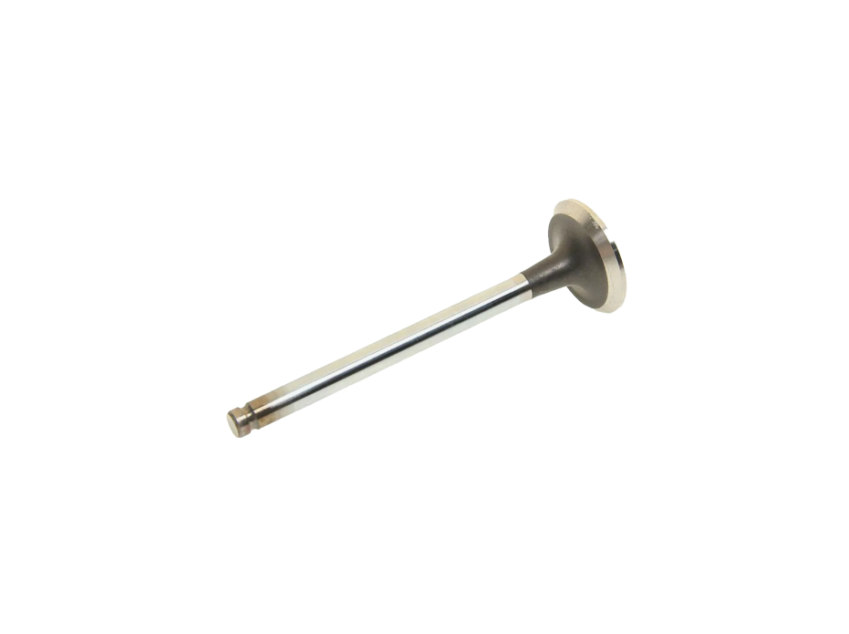 Intake Valve 1886246 for Engine